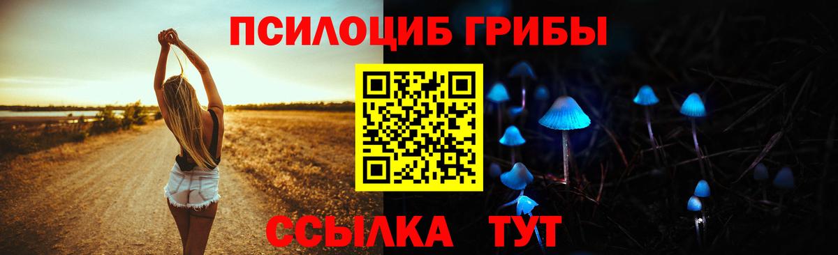 Псилоцибиновые грибы Cubensis Псков