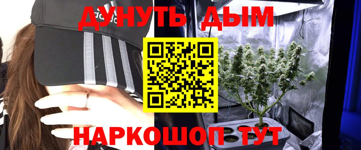 Псков  Канабис семена  Шишки марихуана марихуана  Вход с VPN  Бошки марихуана ГИДРОПОН 